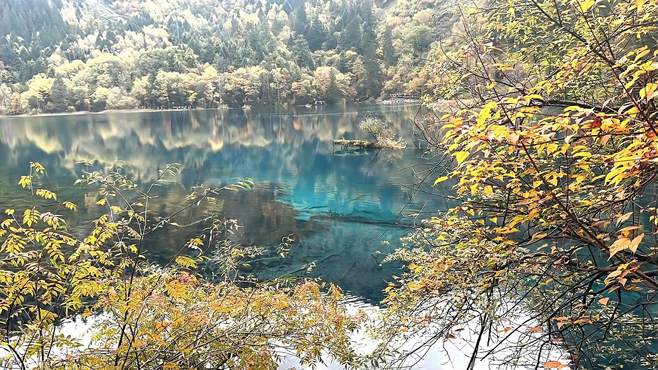 九寨沟住宿攻略：体验山野美景，建议收藏分享