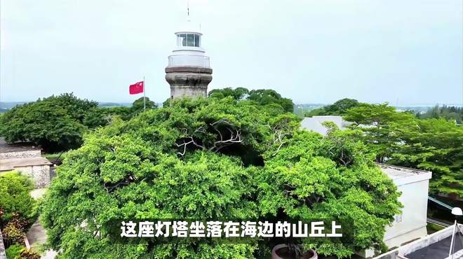 吴川红树林：探索中国南方最大的红树林保护区！