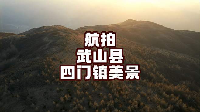 航拍武山县四门镇森林美景