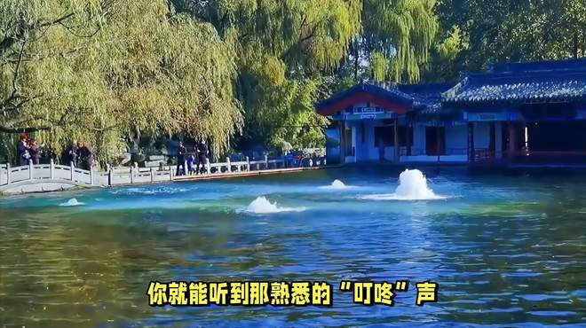 济南旅游必去景点推荐，玩转泉城，这些必去景点你错过了吗？