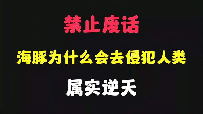 禁止废话：海豚为什么会去侵犯人类？涨知识了