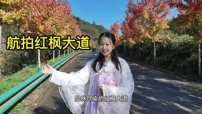 宝鸡这个地方红枫太美了，道路不好不宜前往，看我航拍红枫大道