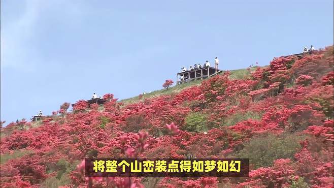 山花烂漫、姹紫嫣红——华东地区春游好去处（四）