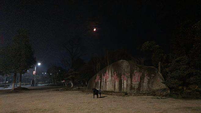 美丽的滨河公园！美丽的广德夜景！