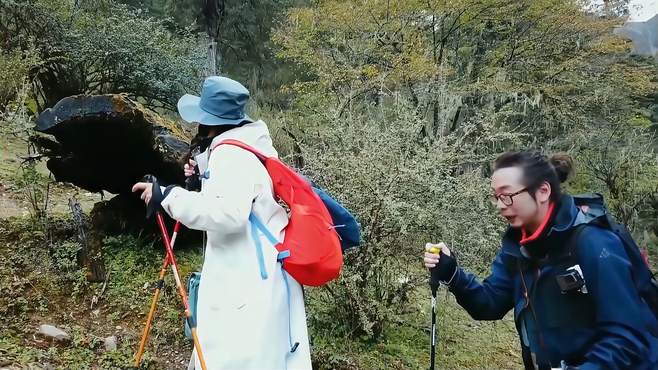 陈意涵许富翔爬山！偶遇《阿凡达》同款仙境，简直不要太美丨幸福