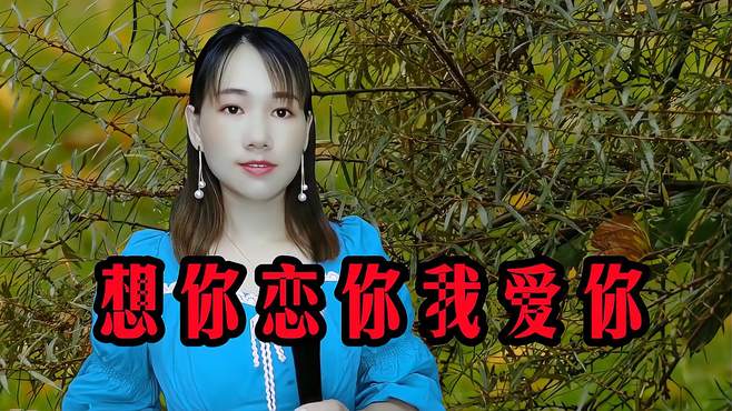 一首DJ情歌《想你恋你我爱你》，歌声甜美，欢快节奏，太好听了！