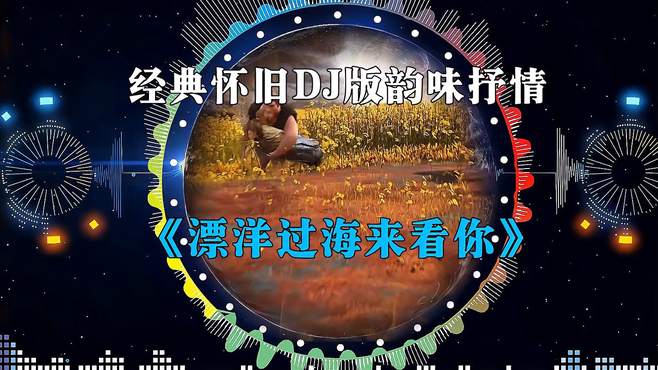 经典怀旧《漂洋过海来看你》韵味抒情DJ版