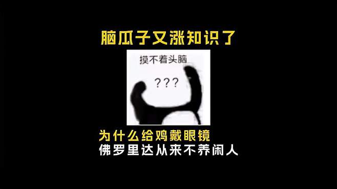 佛罗里达从来不养闲人！省流侠 寻找1000位科普达人 抖音涨知？