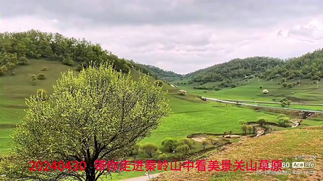 带你走进秦岭山中看美景关山草原