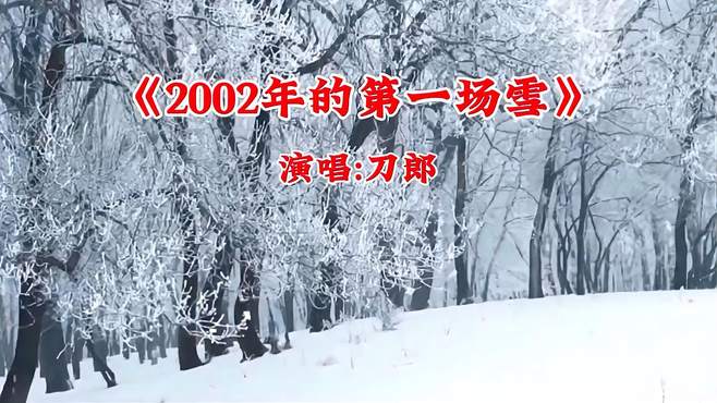 刀郎《2002年的笫一场雪》