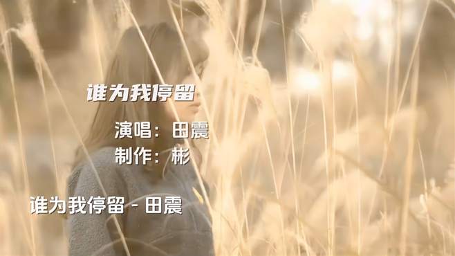 田震经典歌曲《谁为我停留》