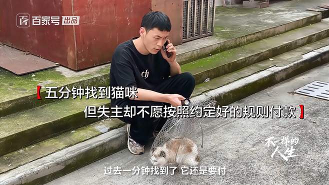 只花5分钟，宠物侦探就找到了丢失的猫，最后却闹到派出所？