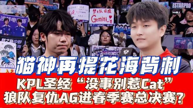 KPL圣经“没事别惹Cat”，花海前车之鉴？狼队会复仇AG进总决赛？