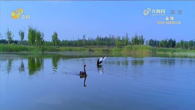 一大波原生态美图来袭！打卡黄河水乡国家湿地公园，风景美如画