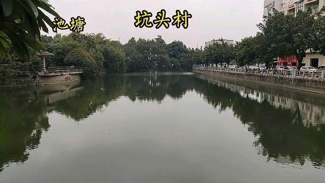 广州番禺区南村镇坑头村，欣赏坑头村生态公园，湖光山色景色宜人