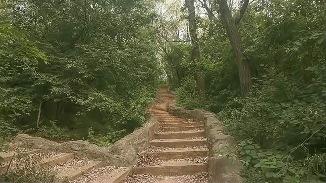 在鞍山的玉佛山中倾听邓丽君的《小路》