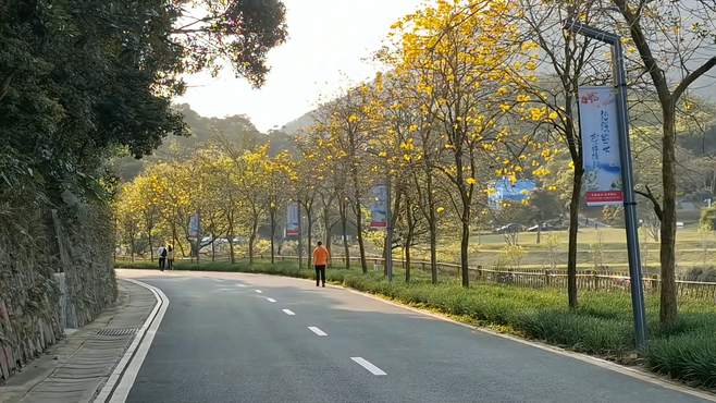 深圳恩上湿地公园湖光山色