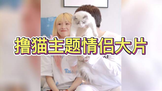 谁不想同时拥有一只小奶猫和小奶狗呢？这也太贴心了吧