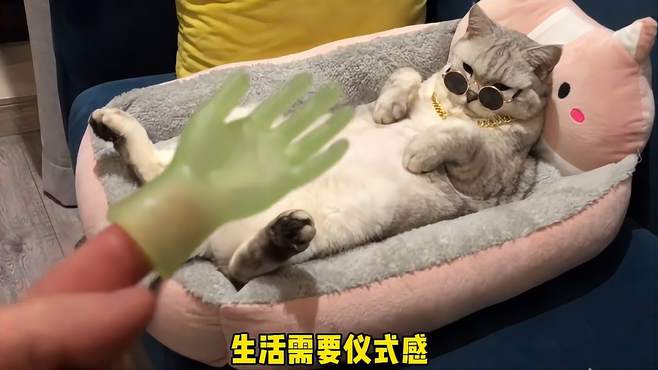 小猫咪馒头的精致SPA~