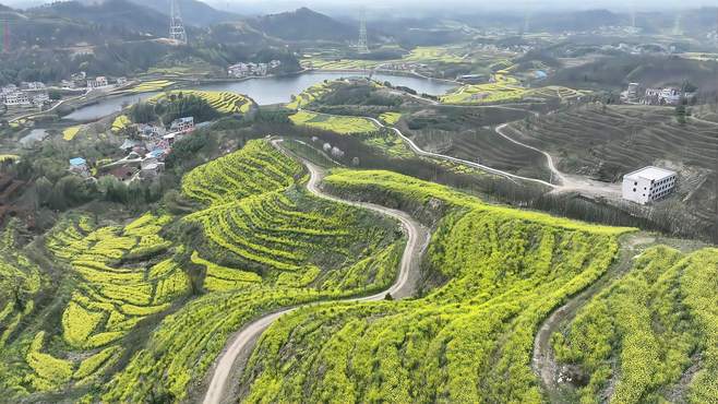 五月踏春湖北行：大别山薄刀峰与油菜博物馆之旅