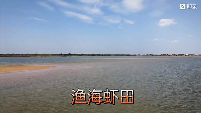 北部湾的渔海虾田