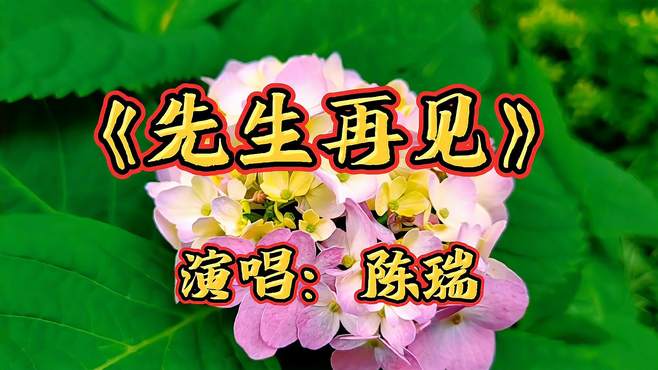 陈瑞《先生再见》天籁磁性嗓音，深情伤感，听哭多少人