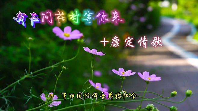 舞曲（我在问花村等你来&康定情歌）