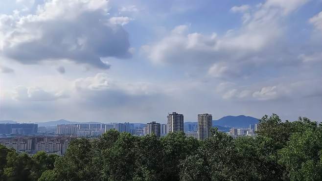 增城新塘夏天风光