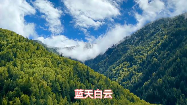 川西高原游记，进入四姑娘山景区，清新脱俗的感觉（六）