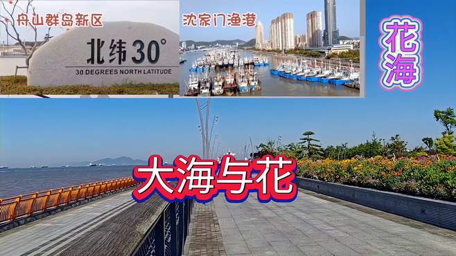 普陀湾公园，大海与花的交汇