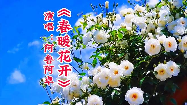 阿鲁阿卓一首《春暖花开》醉人心扉 令人陶醉其中