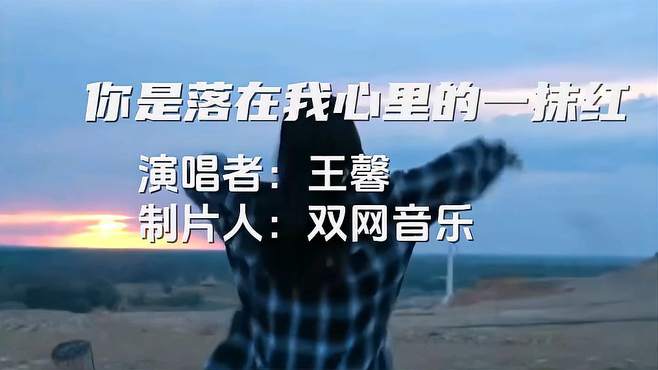 王馨《你是落在我心里的一抹红》双网音乐非常好听的歌曲