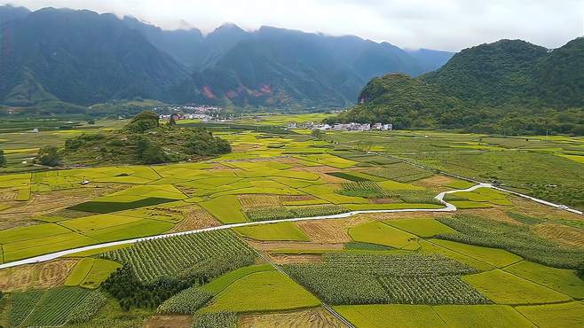 广西上林县路边一个不起眼的小山坡，都被占满了，是位置太好了吗