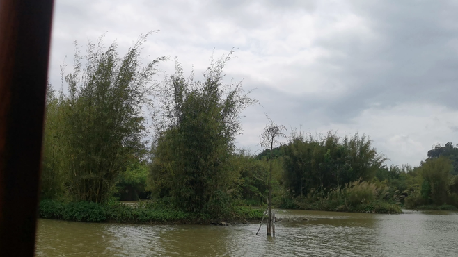 小鸟天堂，乘船游小鸟天堂