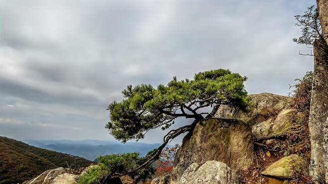 西安秦岭千年古寺，海拔1300米高耸绝壁，神秘大佛内隐身