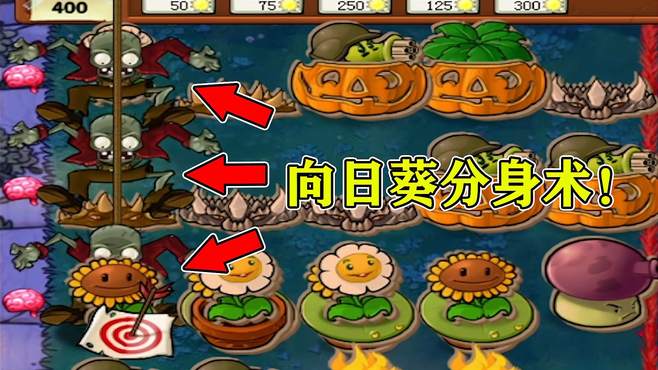 PVZ自制关卡：飞贼之“向日葵分身术”！奇怪的知识又增加了！