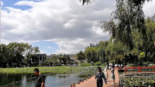 真是没想到，北京远郊区居然还有这么漂亮的公园，值得周末打卡