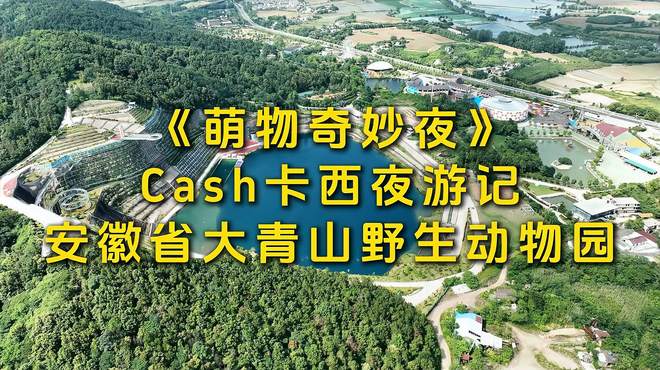 安徽大青山野生动物园《萌物奇妙夜》Cash卡西夜游记-光语境