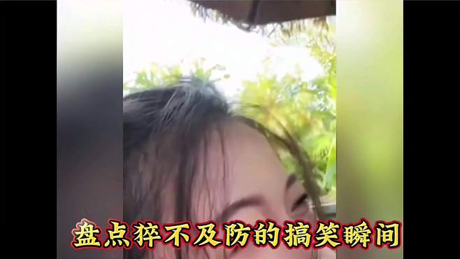 盘点猝不及防的爆笑瞬间，每日一遍快乐无限，看一遍笑一遍