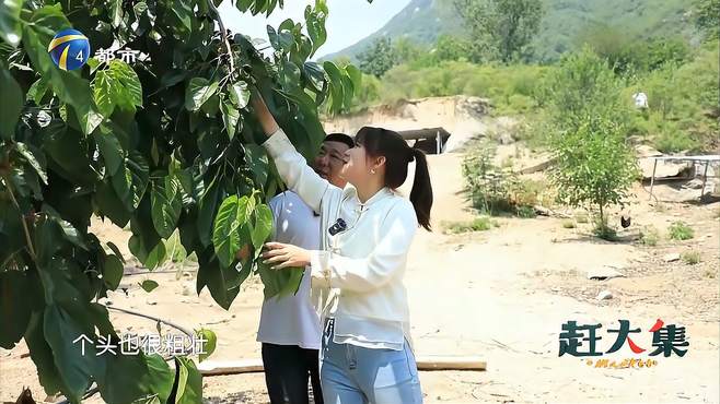 盘山户外主题庄园交通便利，风景优美野趣十足，美味炖肉更是馋人