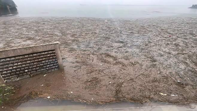 鄱阳湖水位已经达到红色警报，漂浮物很多，浩浩荡荡