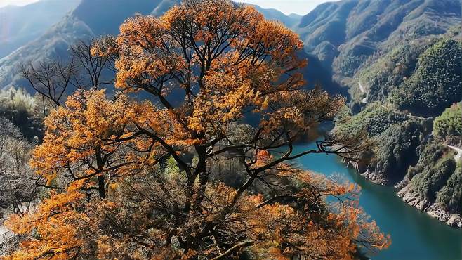 丽水景宁旅游攻略必去景点