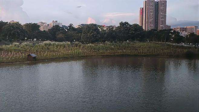 周末好！出来看下深圳石岩桥边的风景