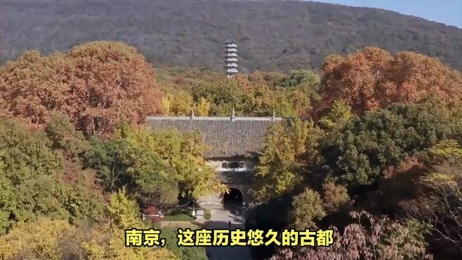 南京紫金山：分期乐带你领略风光大赏