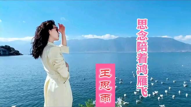 王思雨演唱《思念陪着鸿雁飞》浑厚圆润的嗓音，令人陶醉其中