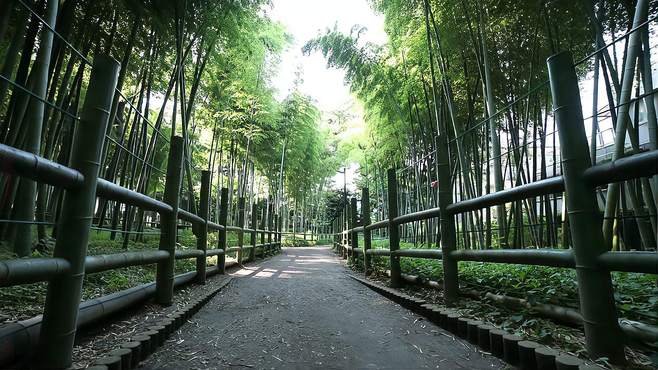 安吉一日游必去景点介绍