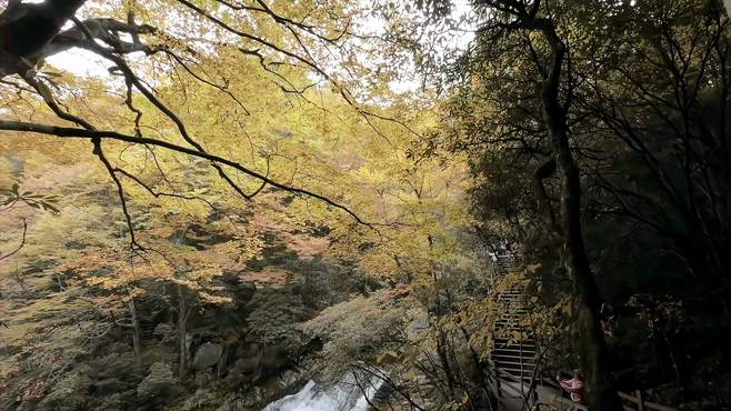 光雾山秋季遛娃绝佳地儿，赏漫山红叶，挑战极限乐园