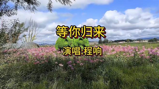 分享一首程响演唱歌曲《等你归来》