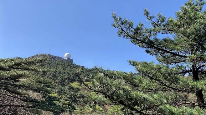 妙道山，岳西县西南部的神秘山脉，其第二高峰祖师尖傲然挺立