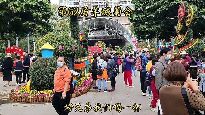 广州文化公园第62届羊城菊会，欣赏悬崖菊盘景菊菊树等，婀娜多姿